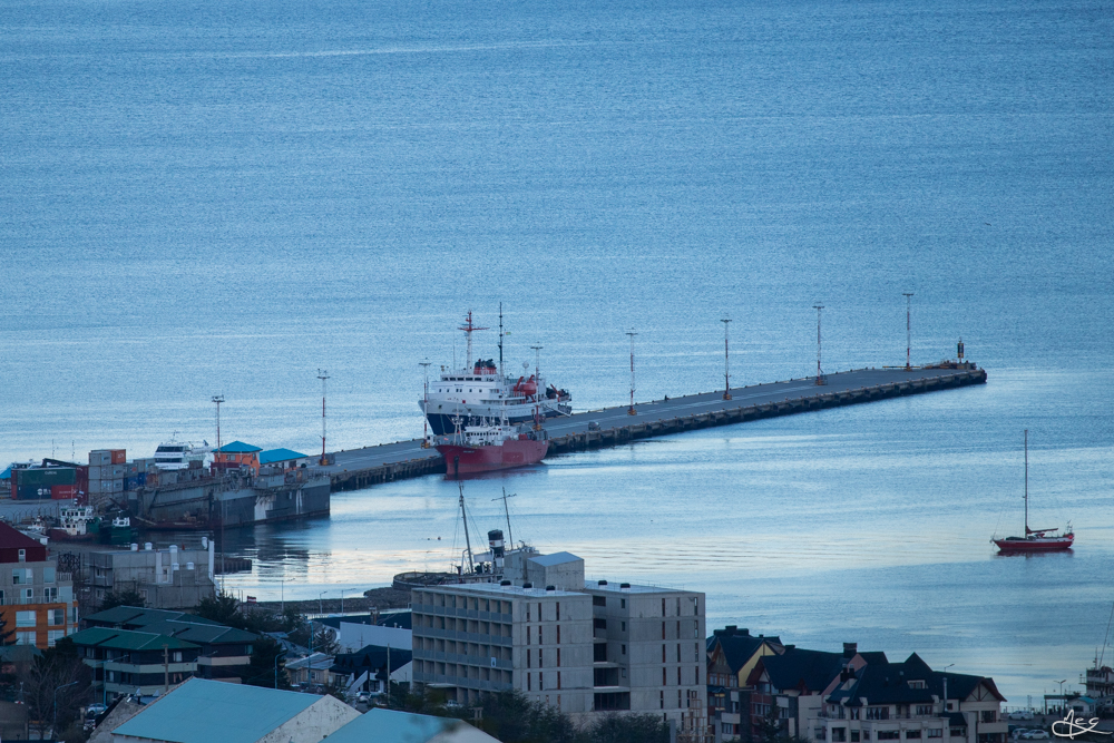 _MG_9533.jpg